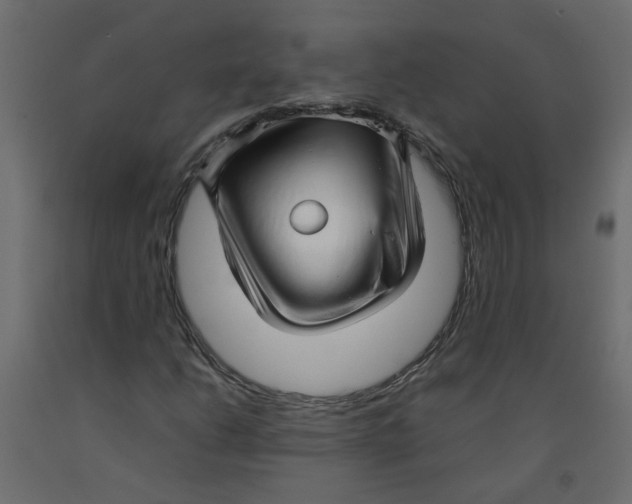 X0000092091206200710101054