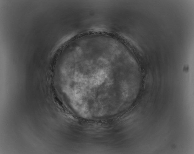 X0000092091207200710101054