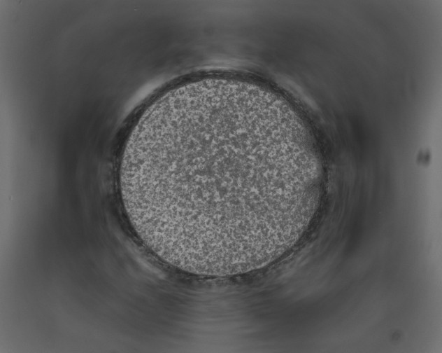 X0000092091208200710101054