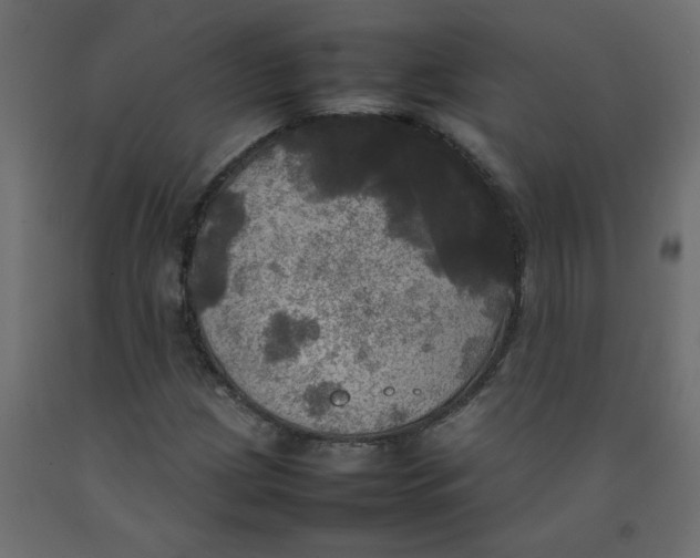 X0000092091209200710101054