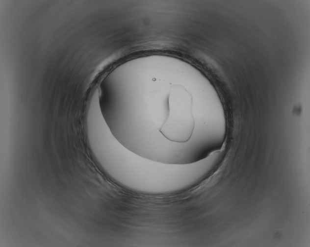 X0000092091210200710101054