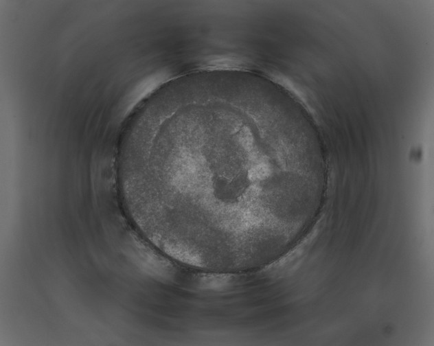 X0000092091211200710101054