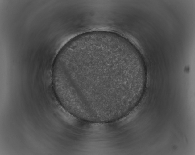 X0000092091212200710101054