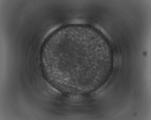 X0000092091213200710101054