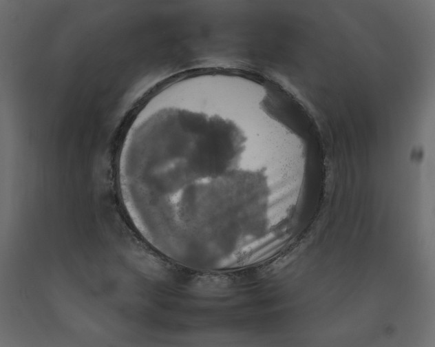 X0000092091215200710101054