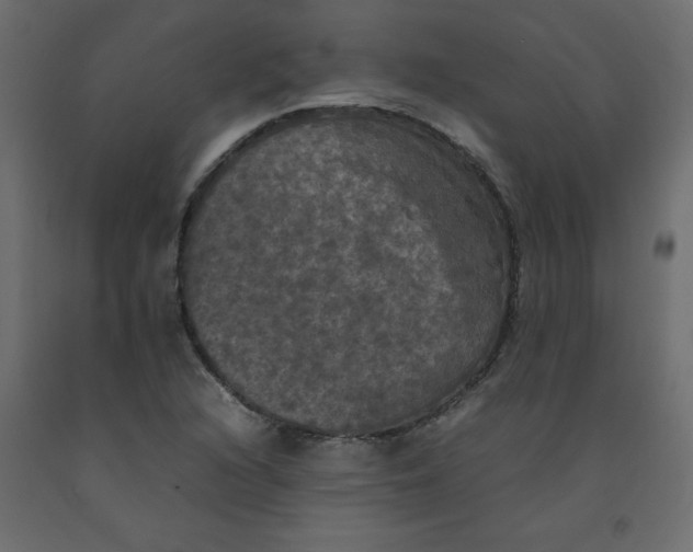 X0000092091216200710101054