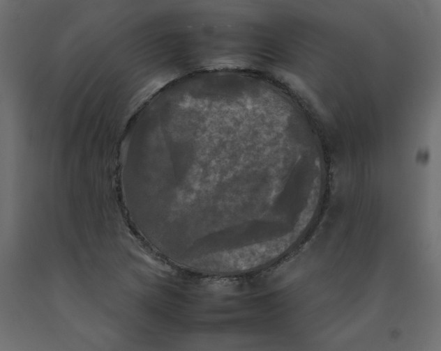 X0000092091217200710101054