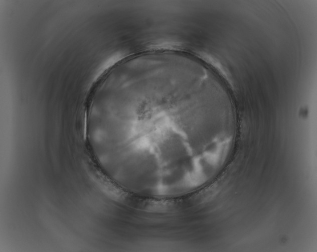 X0000092091219200710101054