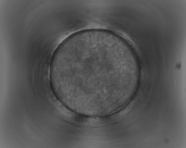 X0000092091220200710101054