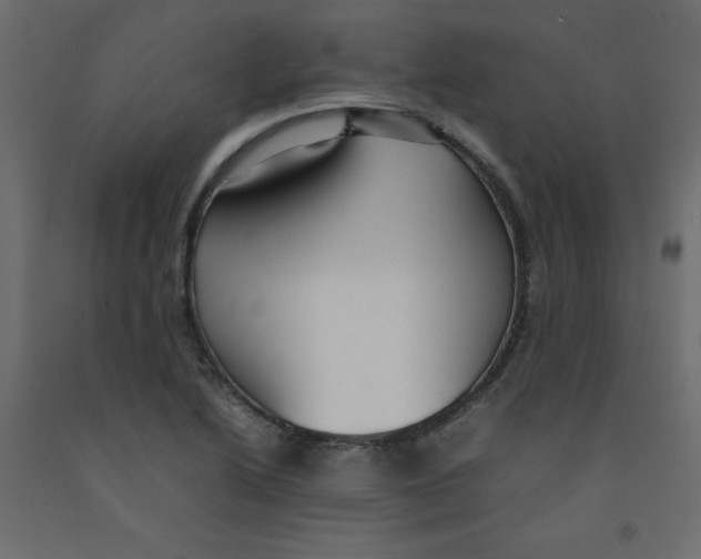 X0000092091222200710101054