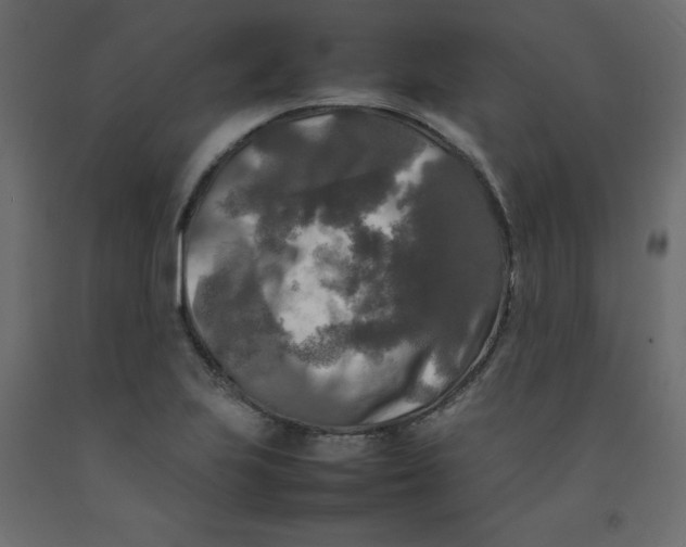 X0000092091223200710101054