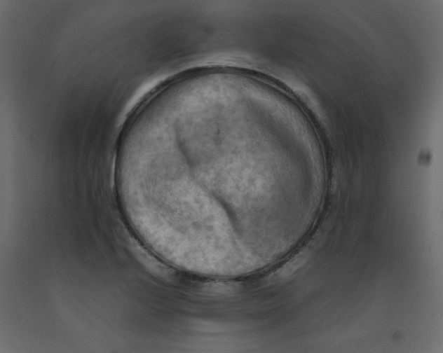 X0000092091224200710101054