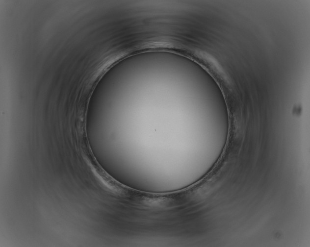 X0000092091225200710101054