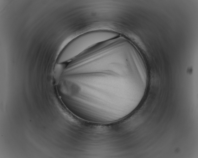 X0000092091226200710101054