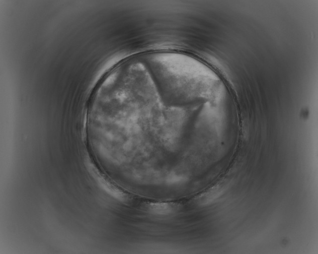 X0000092091227200710101054