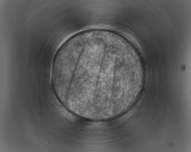 X0000092091228200710101054