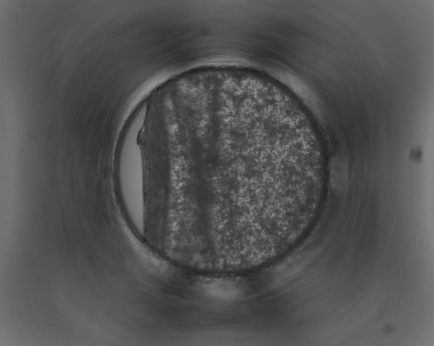 X0000092091229200710101054