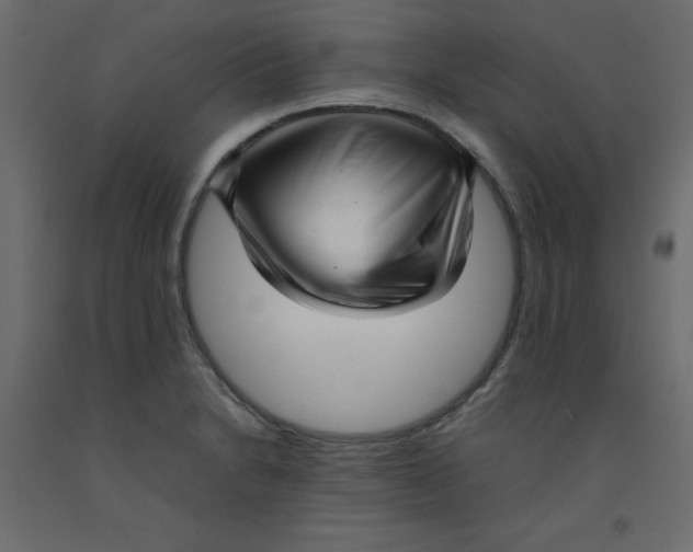 X0000092091230200710101054