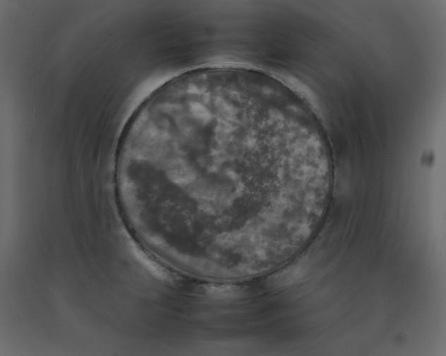 X0000092091231200710101054