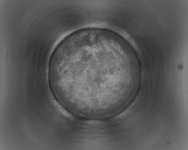 X0000092091232200710101054