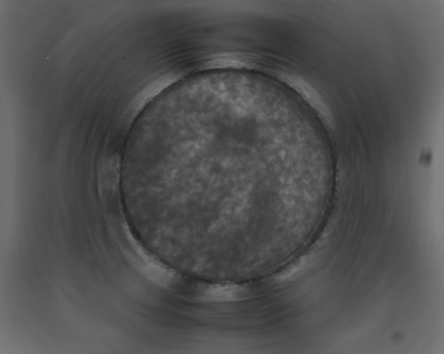 X0000092091233200710101054