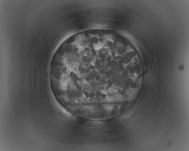 X0000092091235200710101054