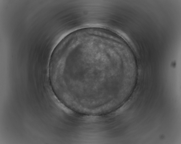 X0000092091236200710101054