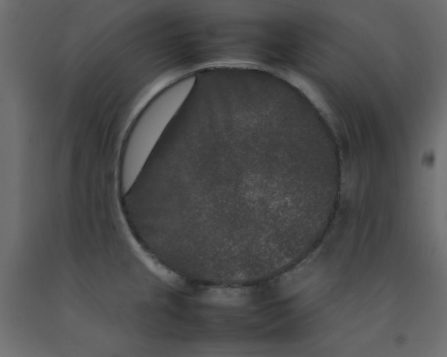 X0000092091237200710101054