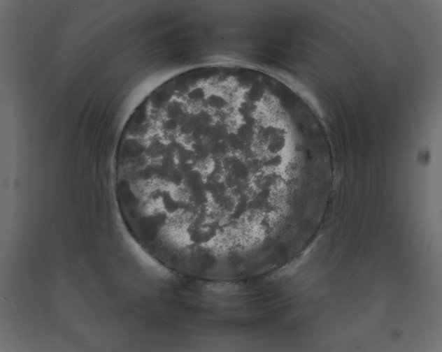 X0000092091239200710101054