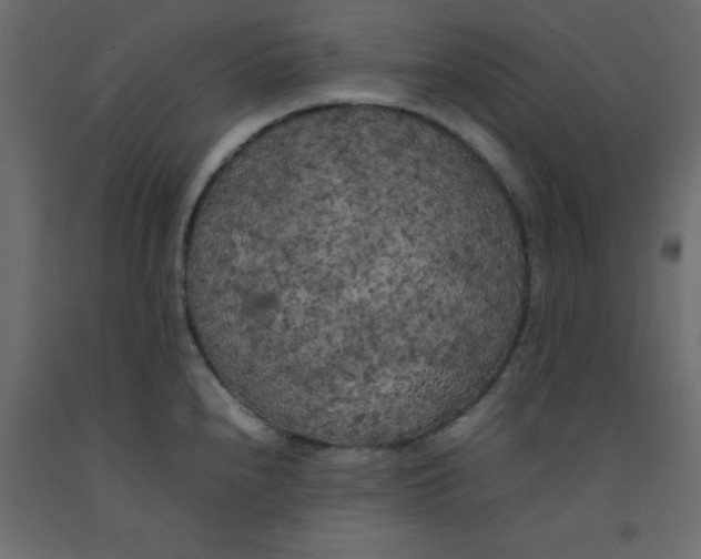 X0000092091240200710101054