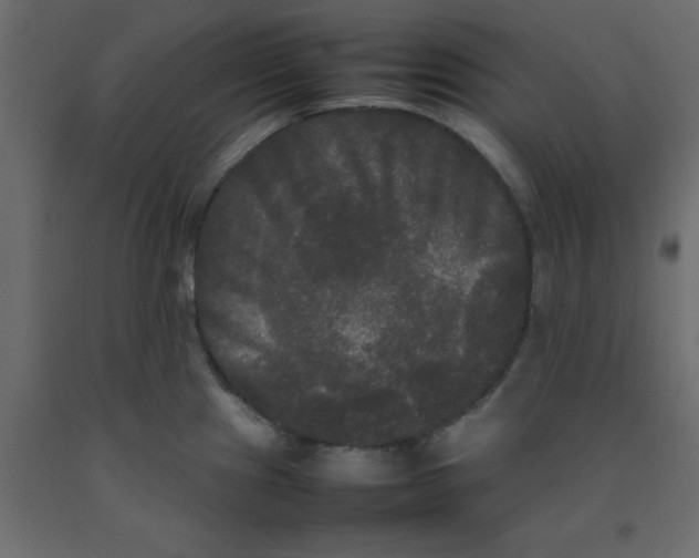 X0000092091241200710101054