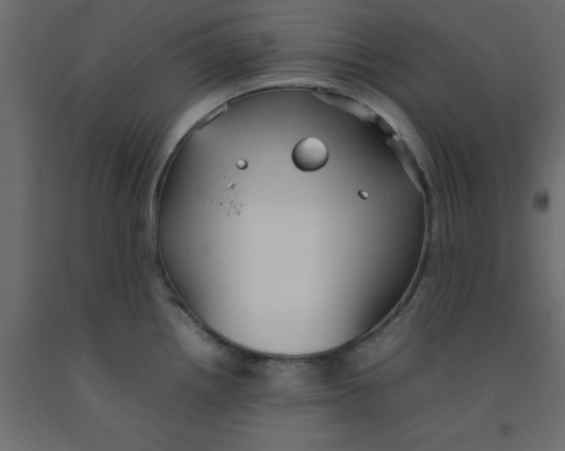 X0000092091242200710101054