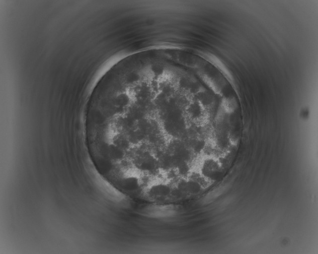 X0000092091243200710101054