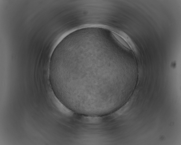 X0000092091244200710101054