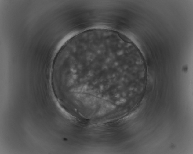 X0000092091245200710101054