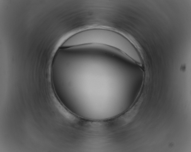 X0000092091246200710101054