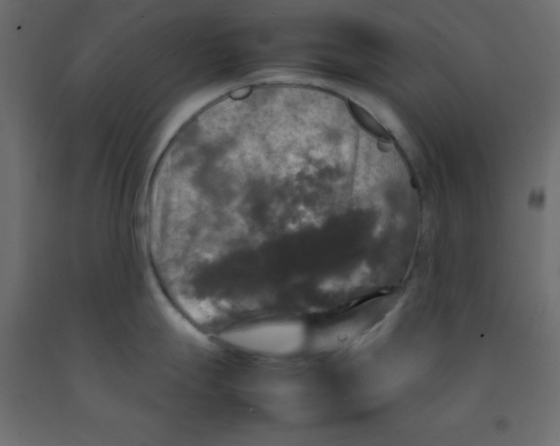 X0000092091247200710101054