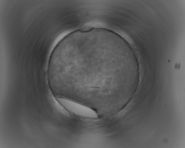 X0000092091248200710101054