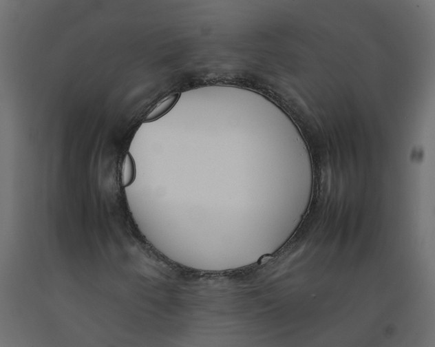 X0000092091250200710101054