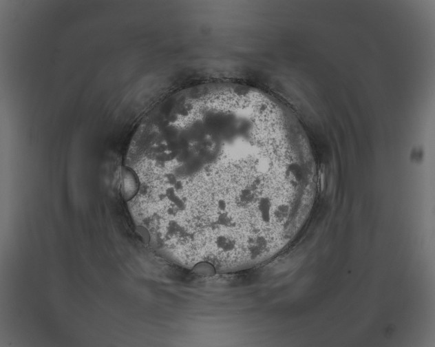 X0000092091251200710101054