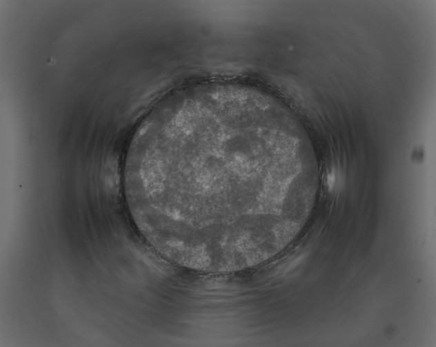 X0000092091252200710101054