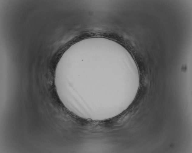 X0000092091253200710101054