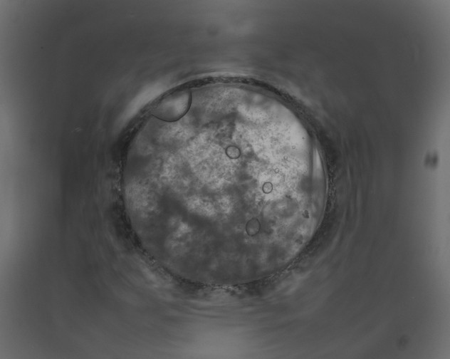 X0000092091255200710101054