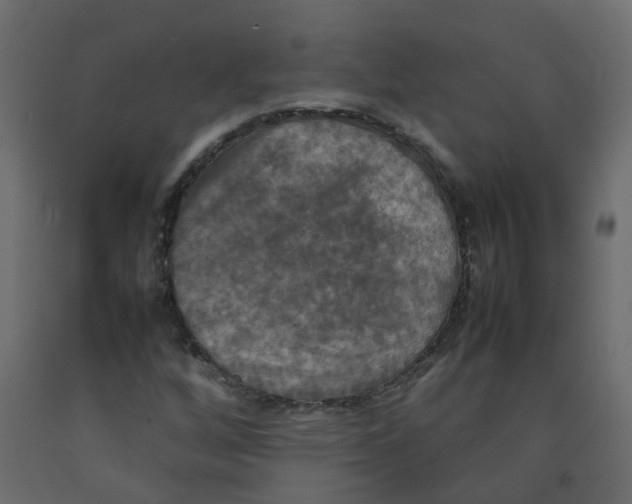 X0000092091256200710101054