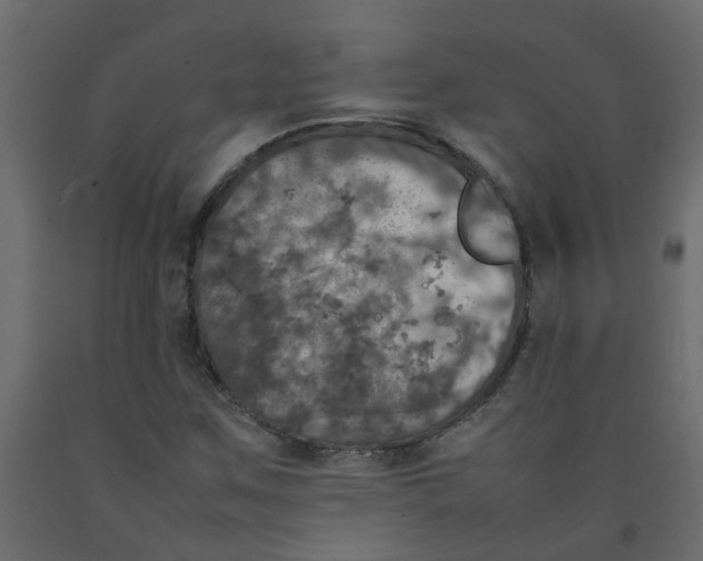 X0000092091259200710101054