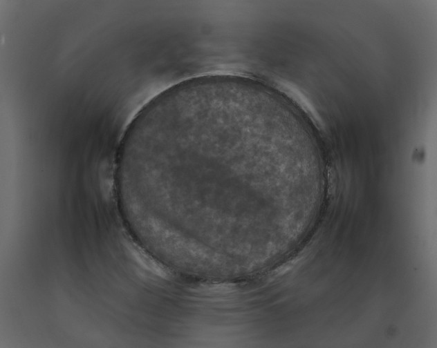 X0000092091260200710101054