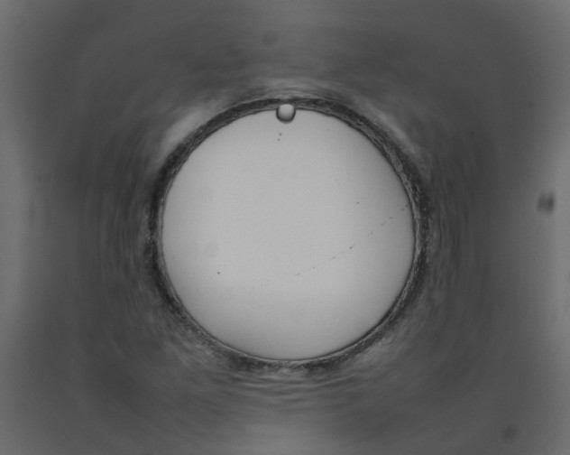 X0000092091261200710101054