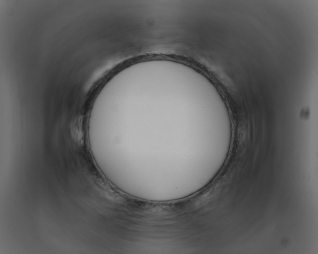 X0000092091262200710101053