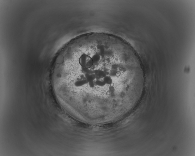 X0000092091263200710101053