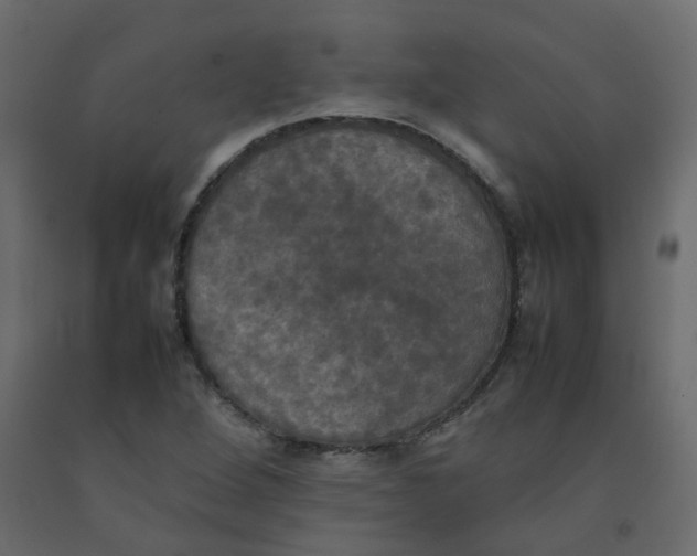 X0000092091264200710101053